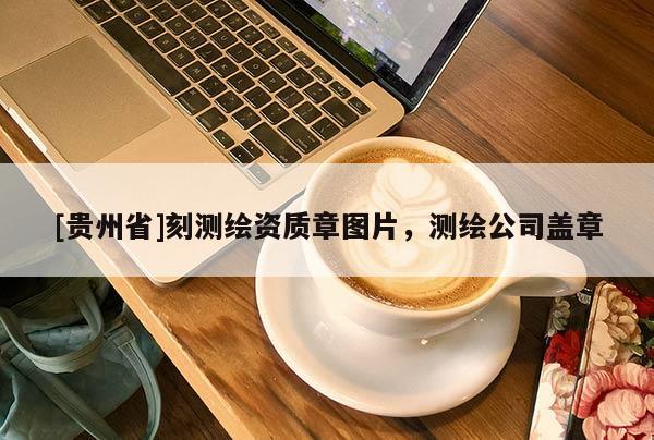 [貴州省]刻測繪資質(zhì)章圖片，測繪公司蓋章