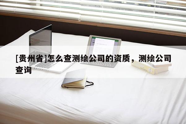 [貴州省]怎么查測繪公司的資質(zhì)，測繪公司查詢