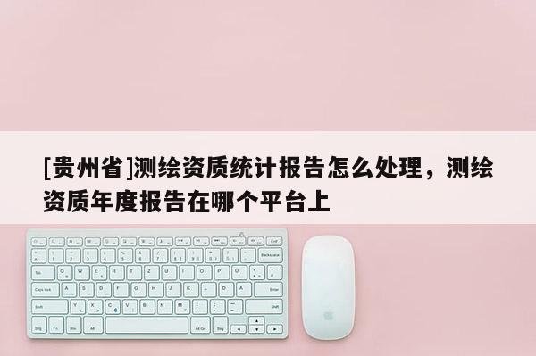 [貴州省]測繪資質統(tǒng)計報告怎么處理，測繪資質年度報告在哪個平臺上
