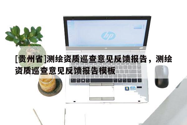 [貴州省]測繪資質(zhì)巡查意見反饋報告，測繪資質(zhì)巡查意見反饋報告模板
