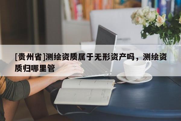 [貴州省]測(cè)繪資質(zhì)屬于無(wú)形資產(chǎn)嗎，測(cè)繪資質(zhì)歸哪里管